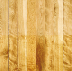 birch flooring, birch wood floors, birch hardwood flooring